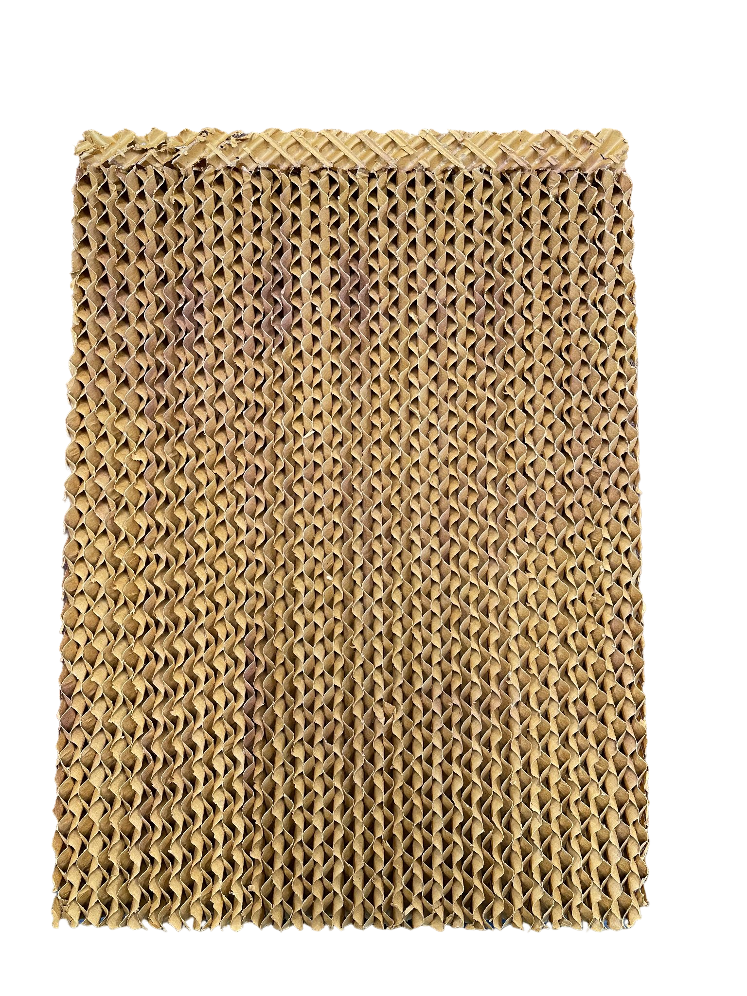 Filter Pad For Bonaire 350