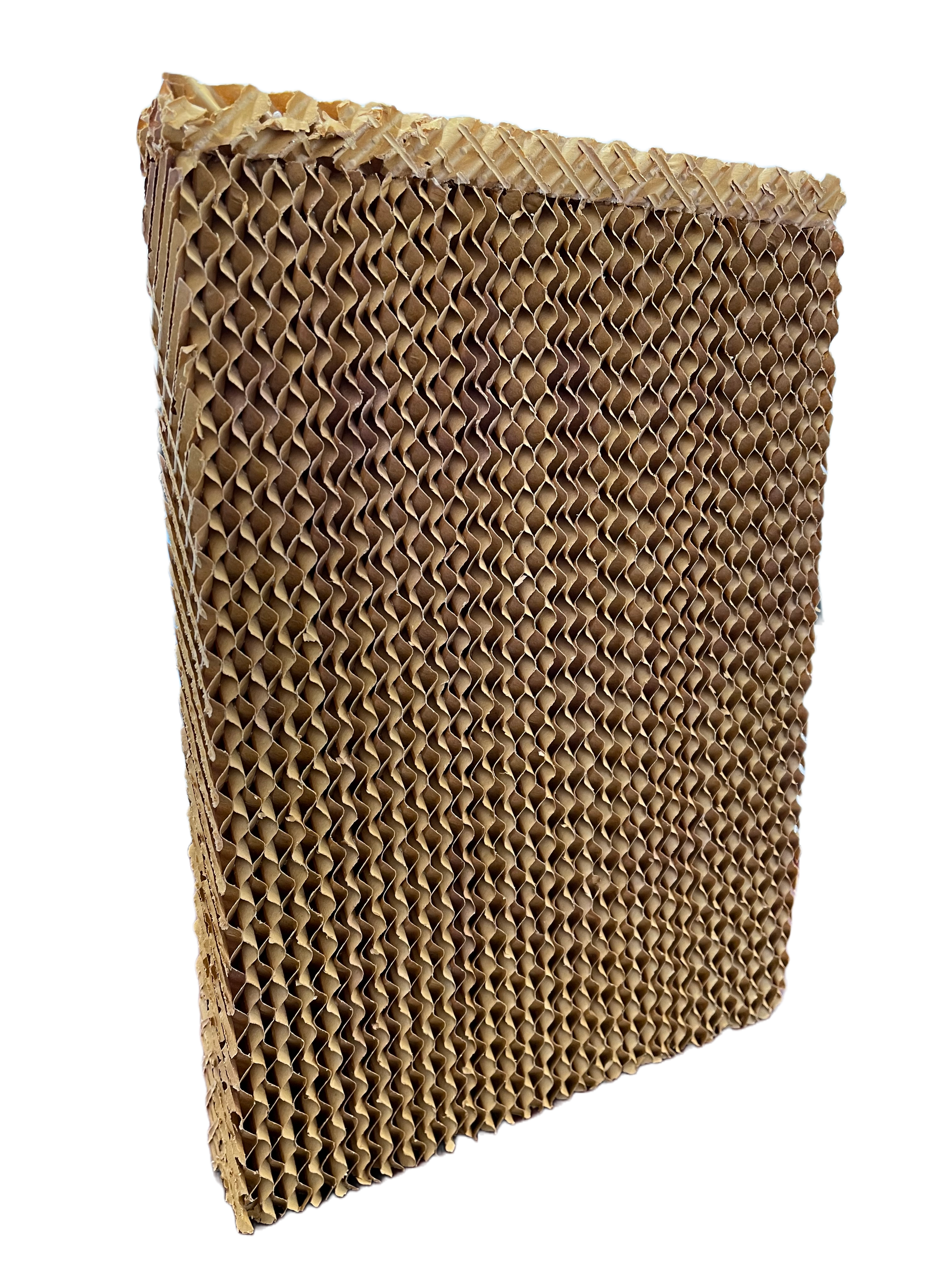 Filter Pad For Bonaire 350